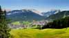 Seefeld 7
