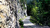 Seefeld 8