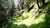 Seefeld 9